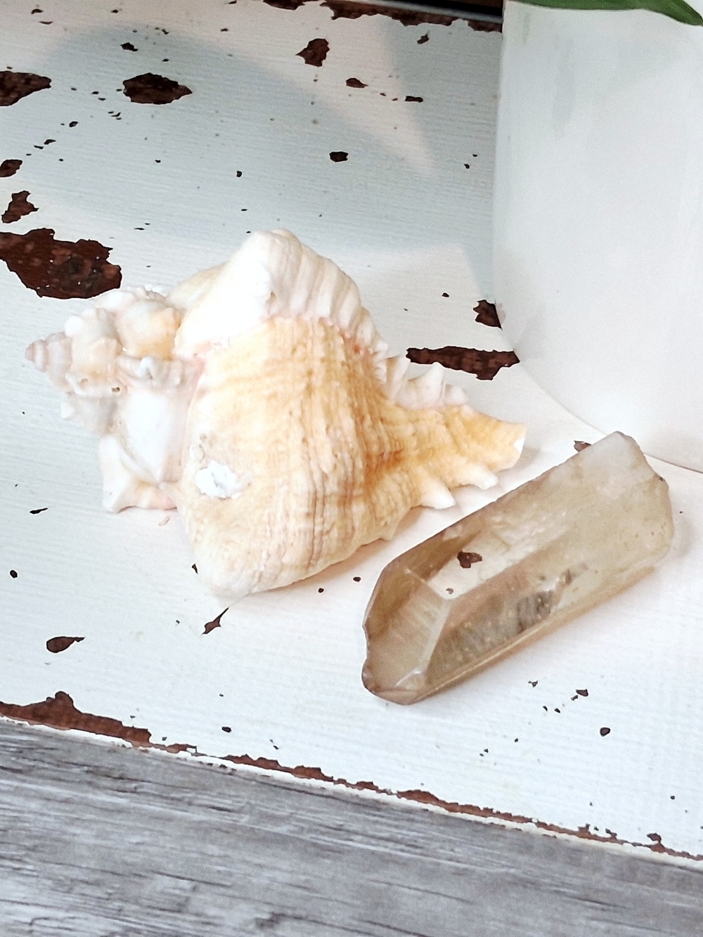 Natural Seashell and Quartz Point Décor Set - Cream & Tan